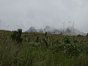 clima en los páramos