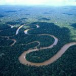 amazonas