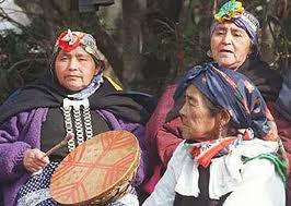 Cultura Mapuche