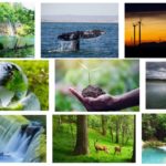 recursos naturales